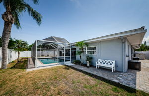 Backyard 2