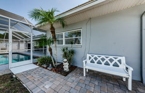 Backyard 3