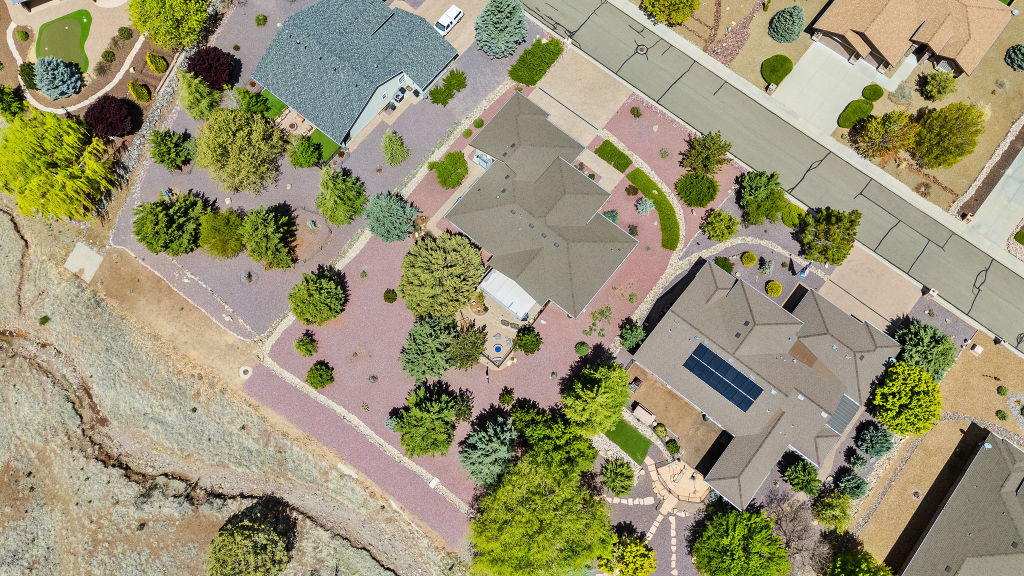 Birds Eye