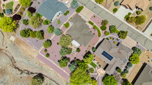 Birds Eye
