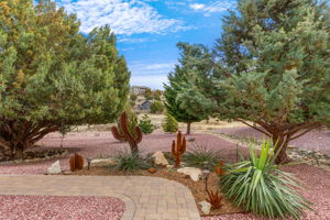 Side yard