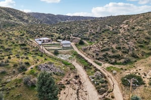 Kings Canyon Rd-S0702-049.jpg