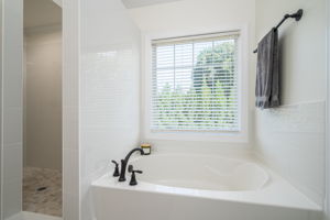 Primary Bathroom Garden Tub