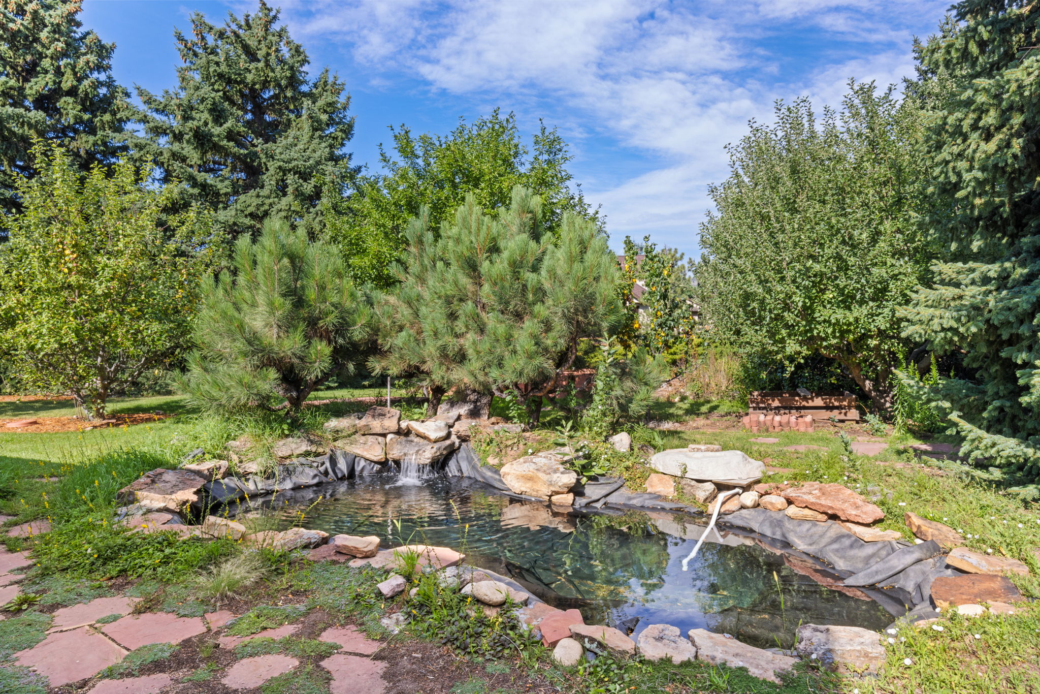 Tranquil Coy Pond With Waterfall