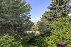 Remove A Couple Pines For Even Better Foothills Views