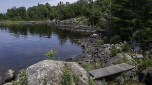  Photo 0