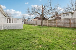 Tulip Trail-S0104-054.jpg