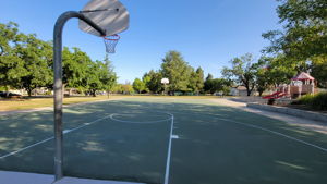  Photo 33