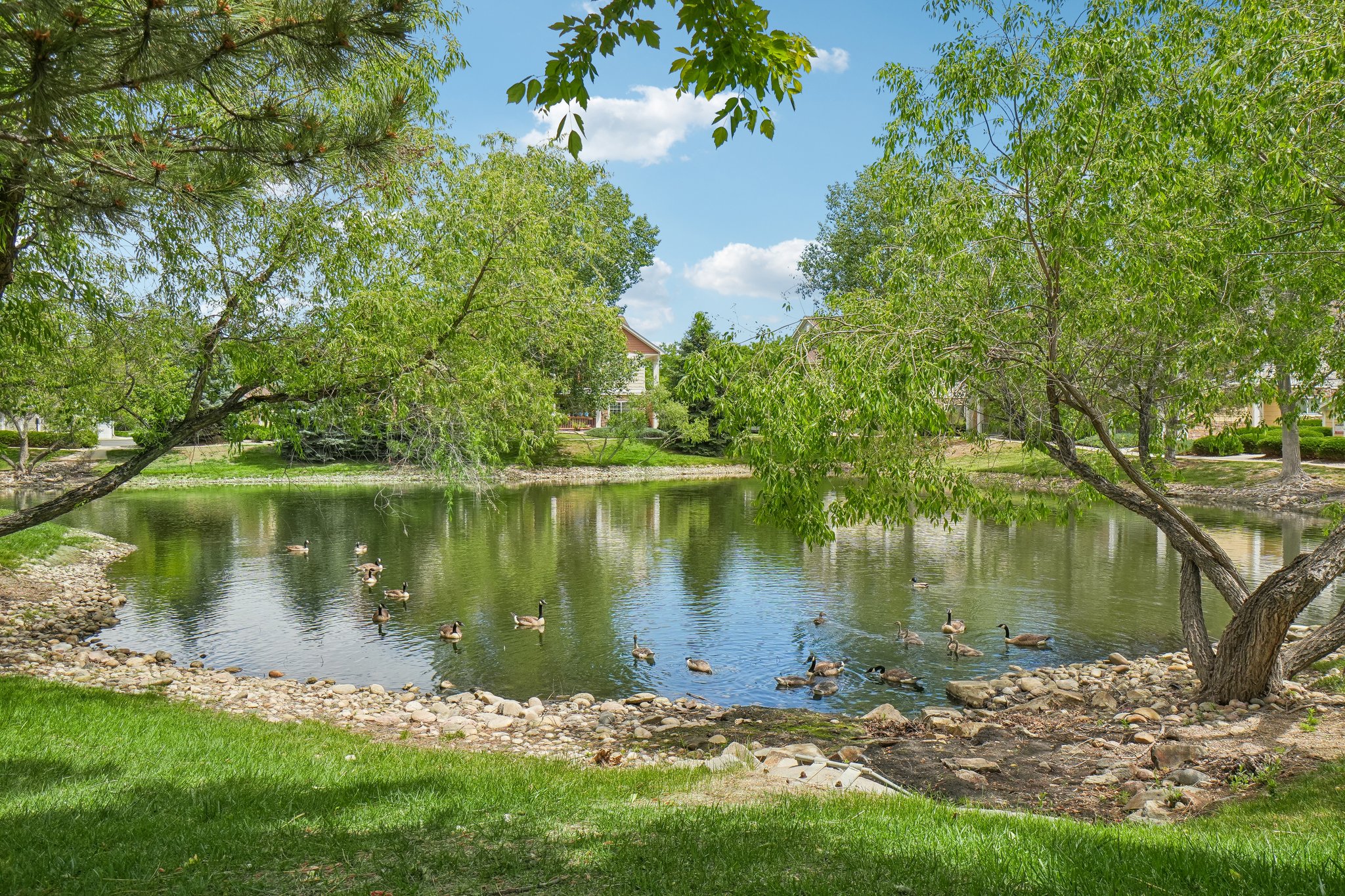 Hahns Peak Dr 201-0506-906.jpg