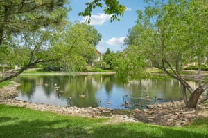 Hahns Peak Dr 201-0506-906.jpg
