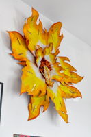  Photo 40