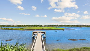 Vista Cove
