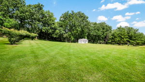  Photo 100