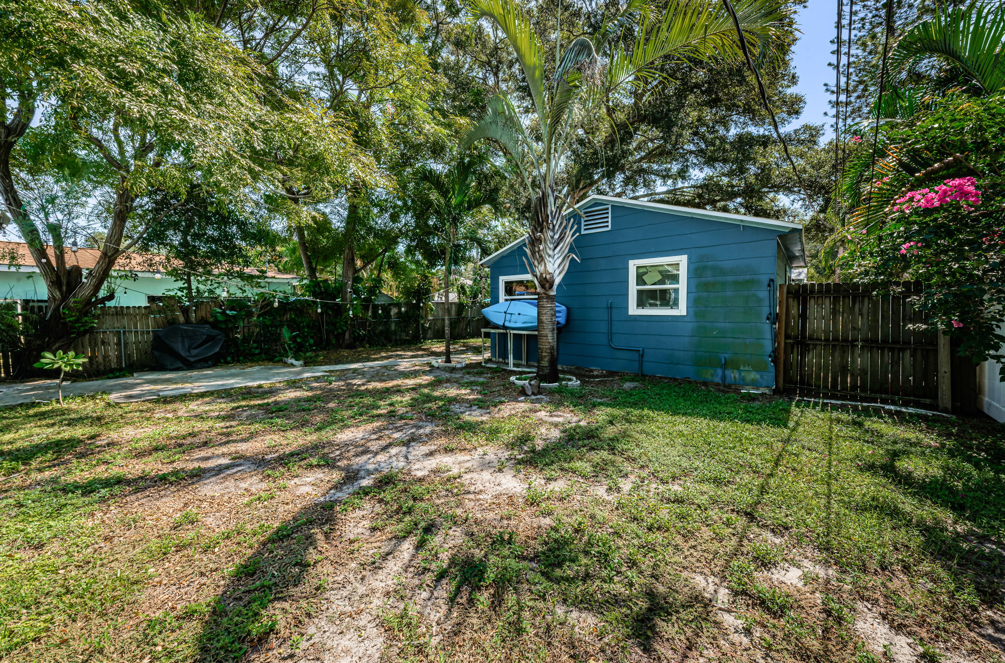 Backyard2-3
