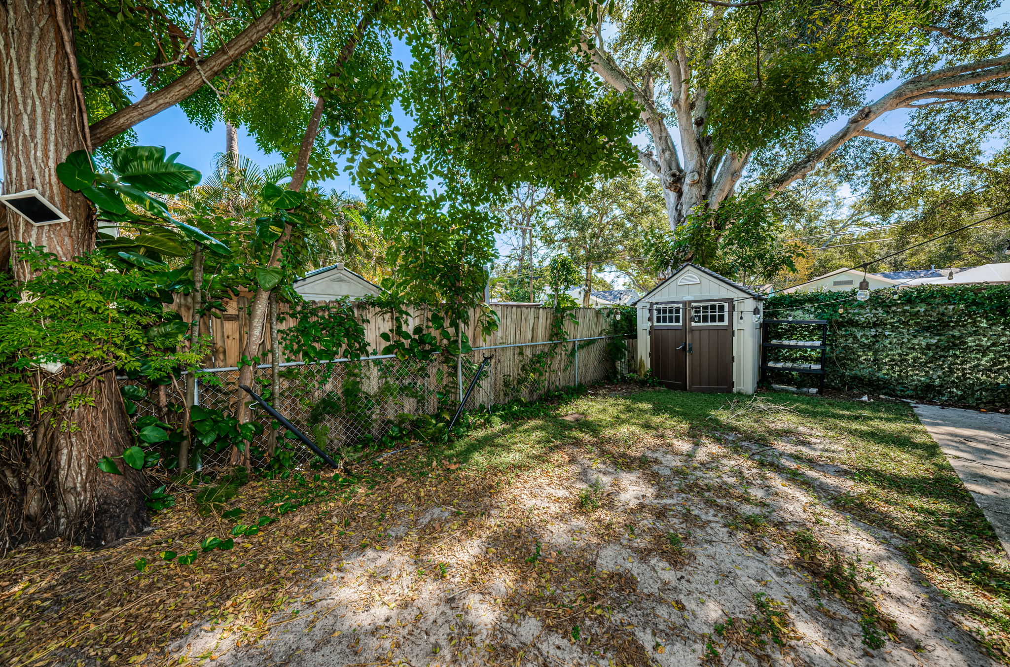 Backyard4-3