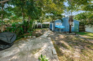 Backyard1-3
