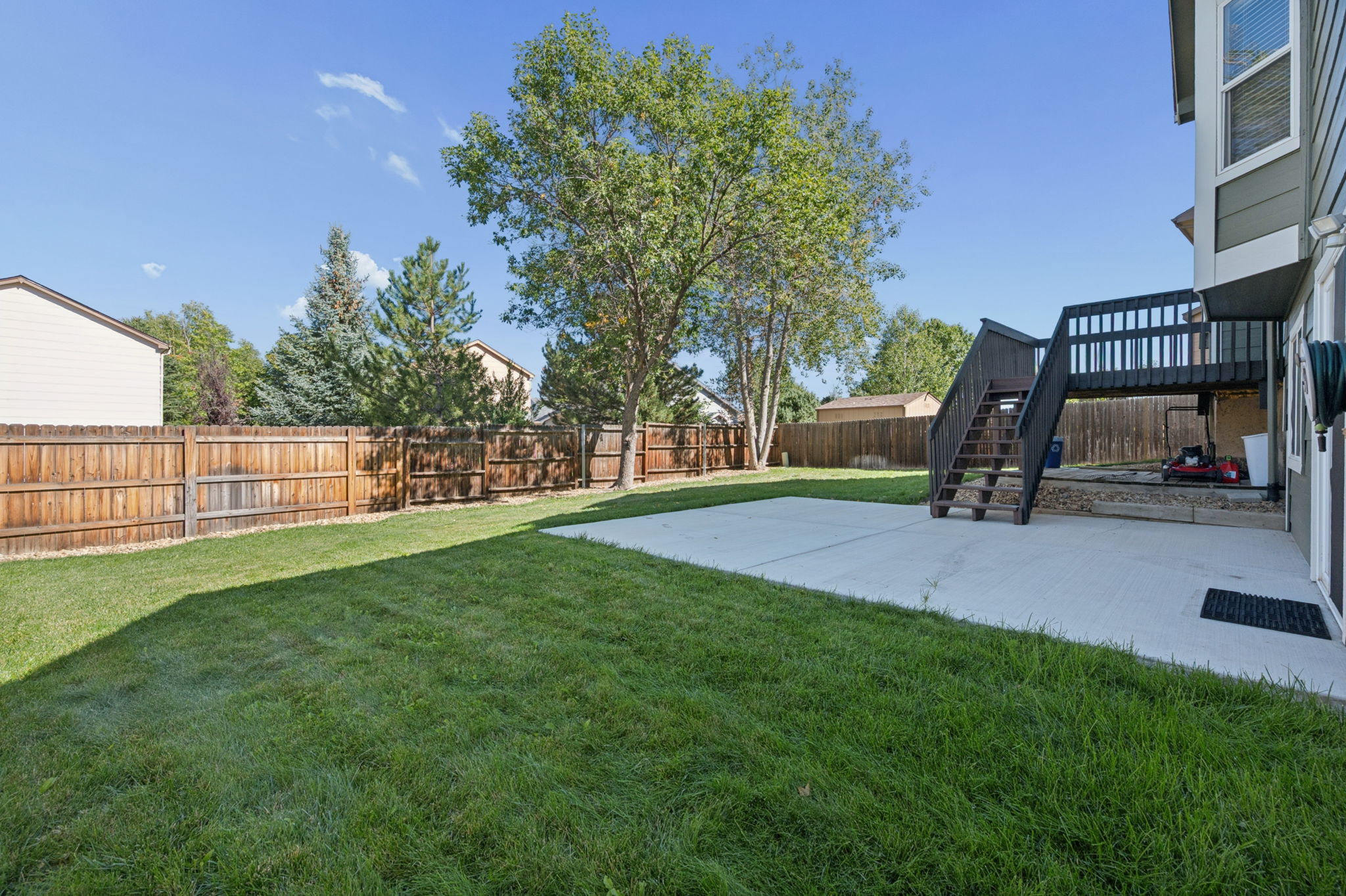 Back Yard
