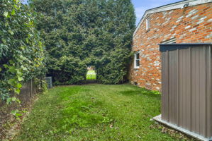  Photo 49