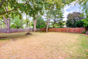 32 Back Yard