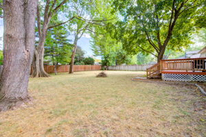 33 Back Yard