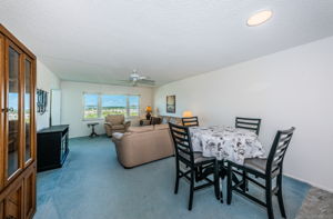 Dining & Living Room