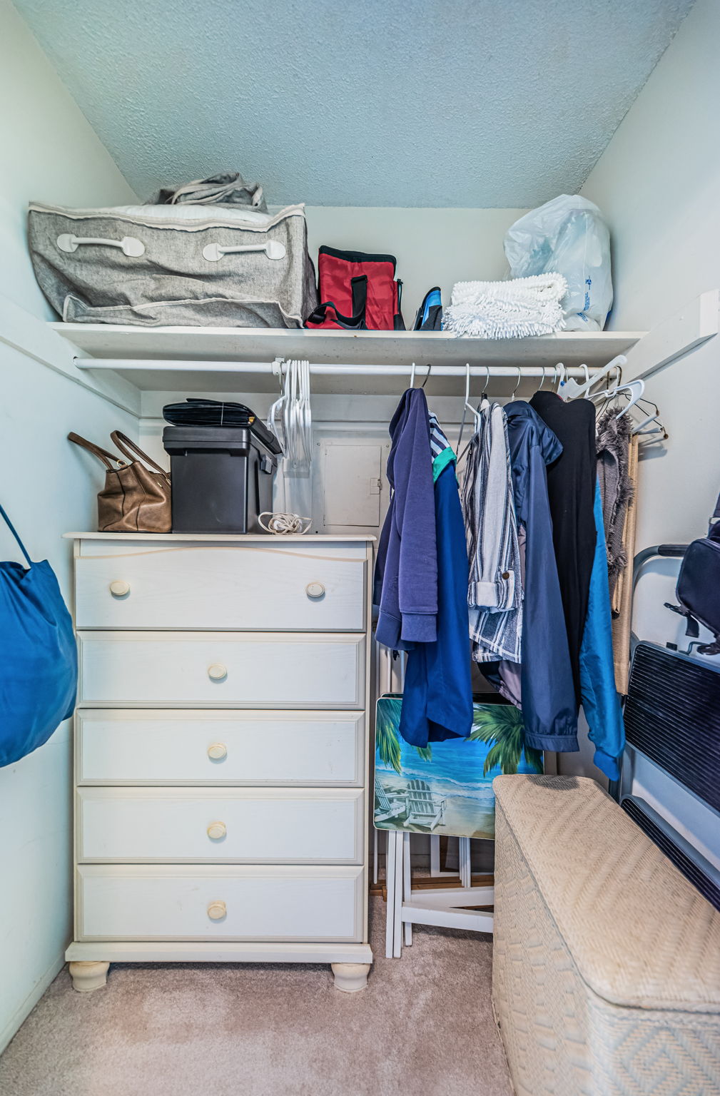 Primary Bedroom Walk-in Closet