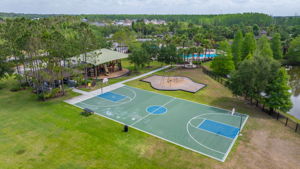  Photo 43