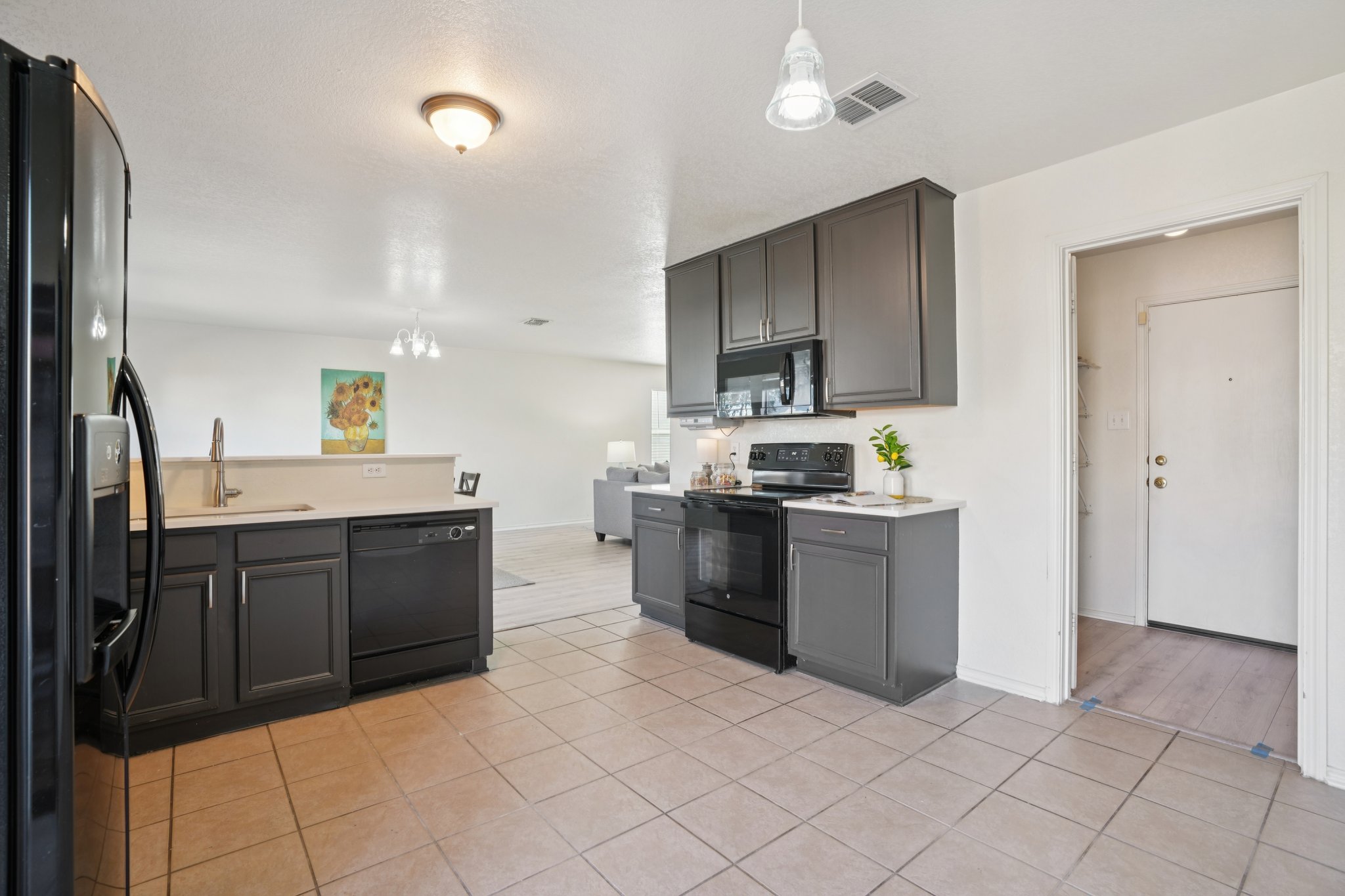 Appaloosa Run-S1511-016 (2).jpg