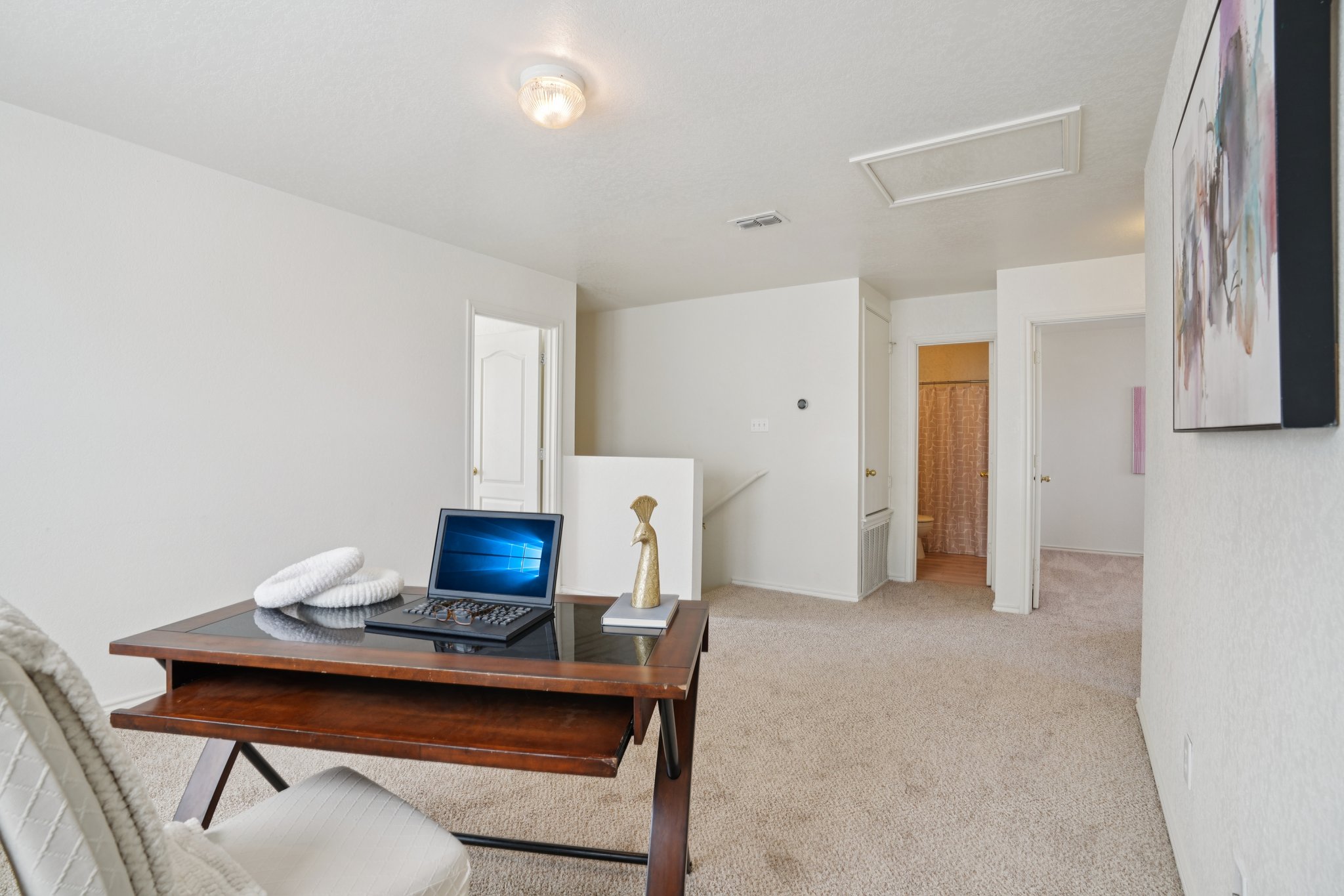 Appaloosa Run-S1511-024 (2).jpg