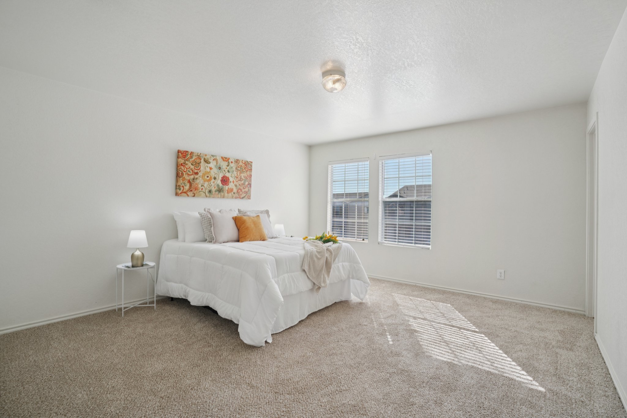 Appaloosa Run-S1511-032 (2).jpg