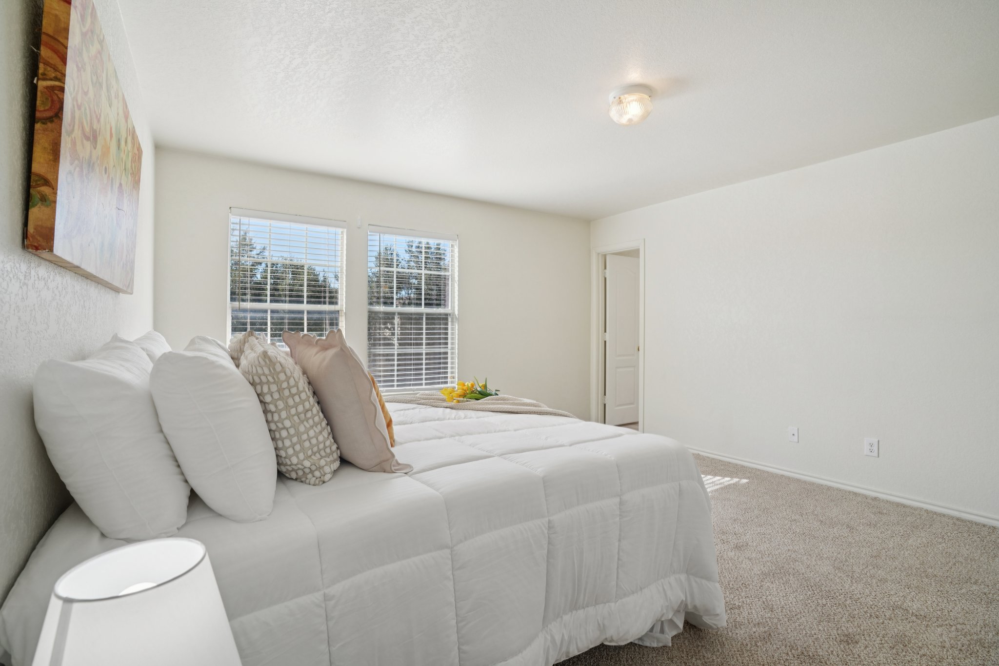 Appaloosa Run-S1511-033 (2).jpg