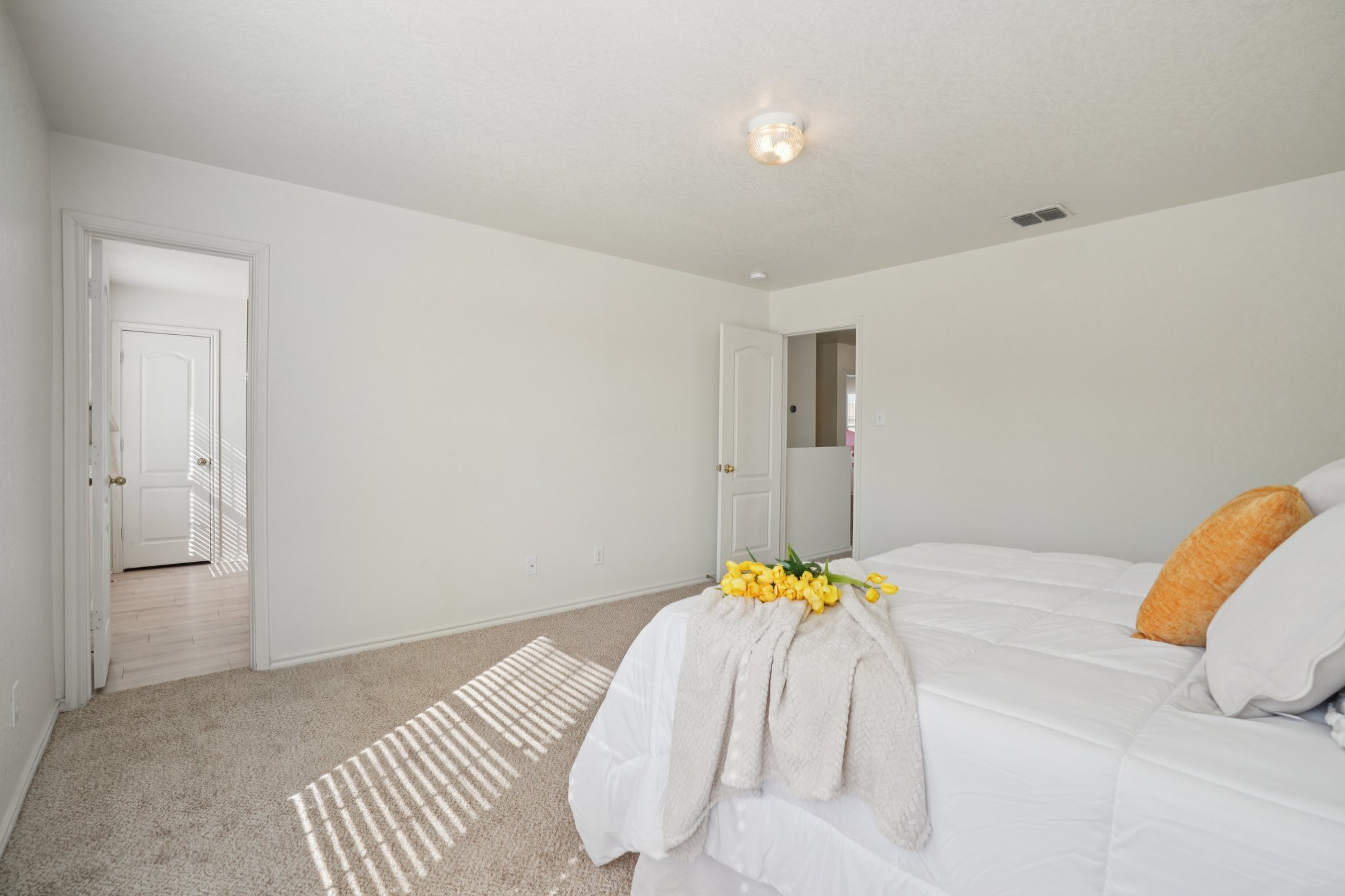 Appaloosa Run-S1511-035 (2).jpg