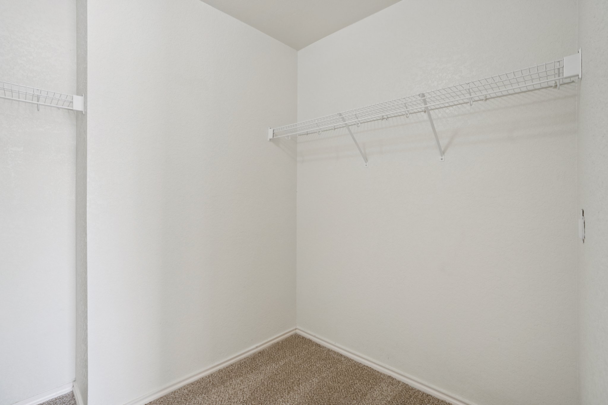 Appaloosa Run-S1511-040 (2).jpg