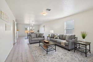 Appaloosa Run-S1511-008 (2).jpg