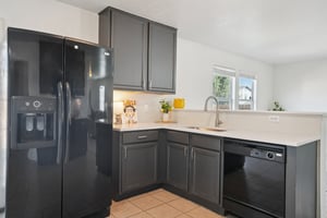 Appaloosa Run-S1511-018 (2).jpg