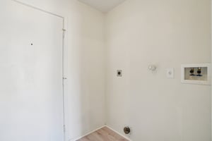 Appaloosa Run-S1511-020 (2).jpg