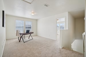 Appaloosa Run-S1511-022 (2).jpg