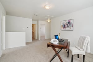 Appaloosa Run-S1511-023 (2).jpg