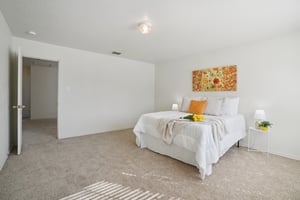 Appaloosa Run-S1511-034 (2).jpg