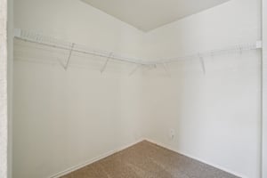 Appaloosa Run-S1511-041 (2).jpg