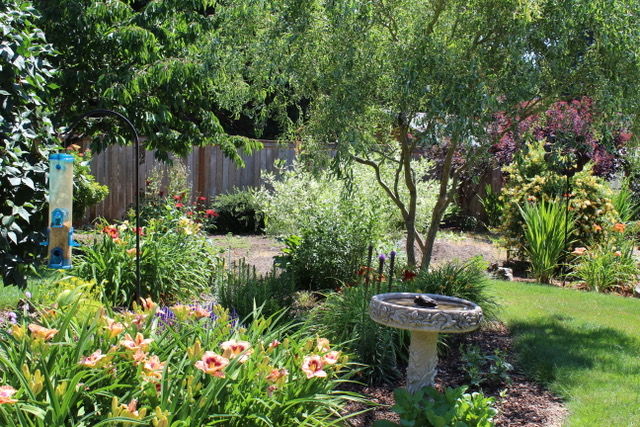 A view to look forward to come warmer weather