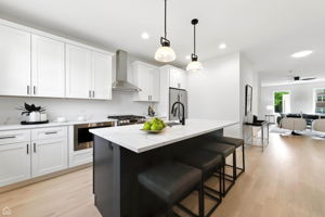 4726 S Indiana Ave - v1_013