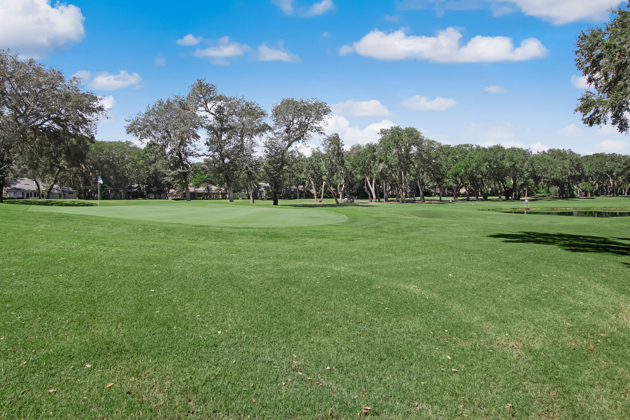 Golf Course View