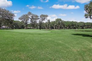 Golf Course View