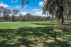 Golf Course View
