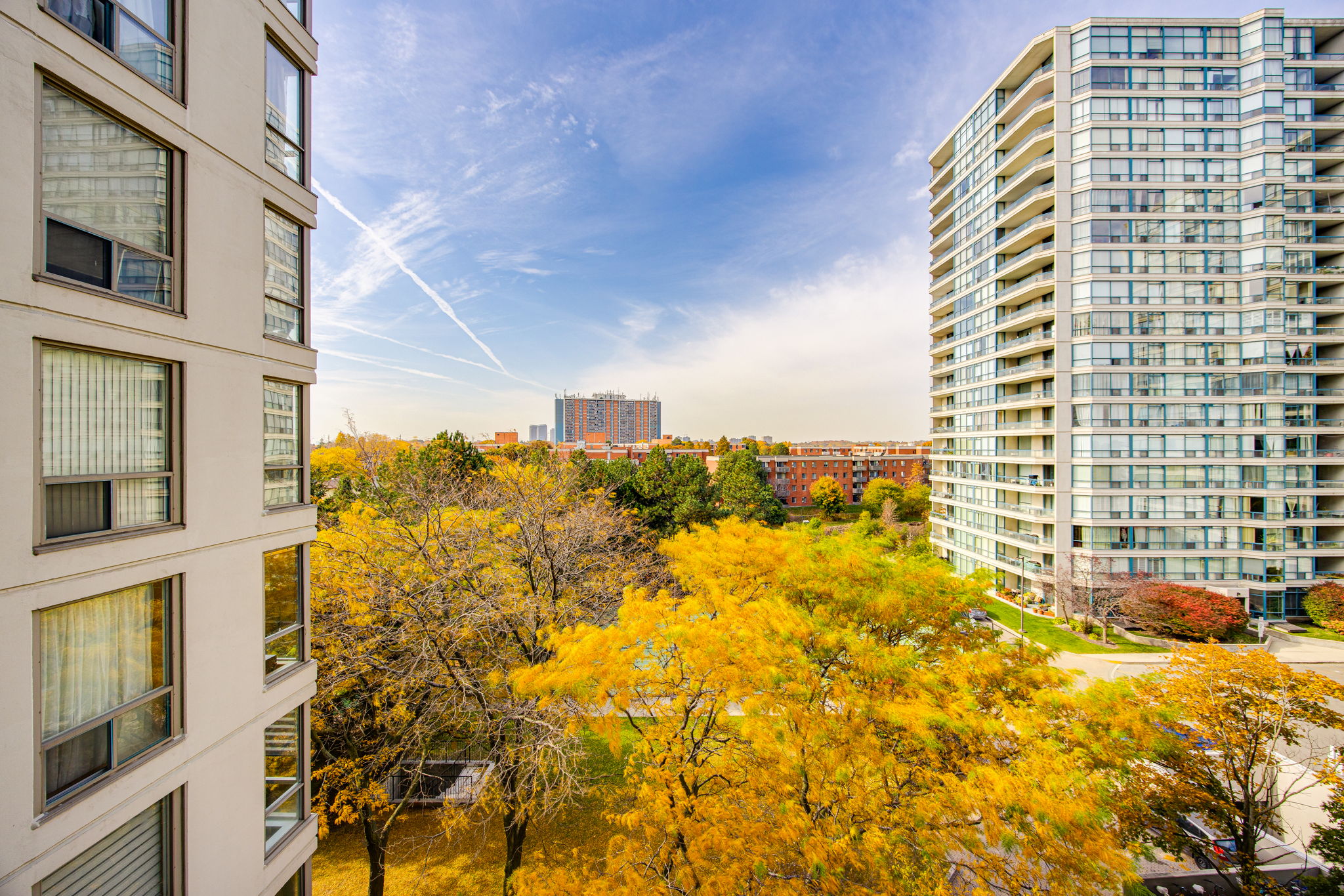 Toronto property showcase — delivered property photograph 29