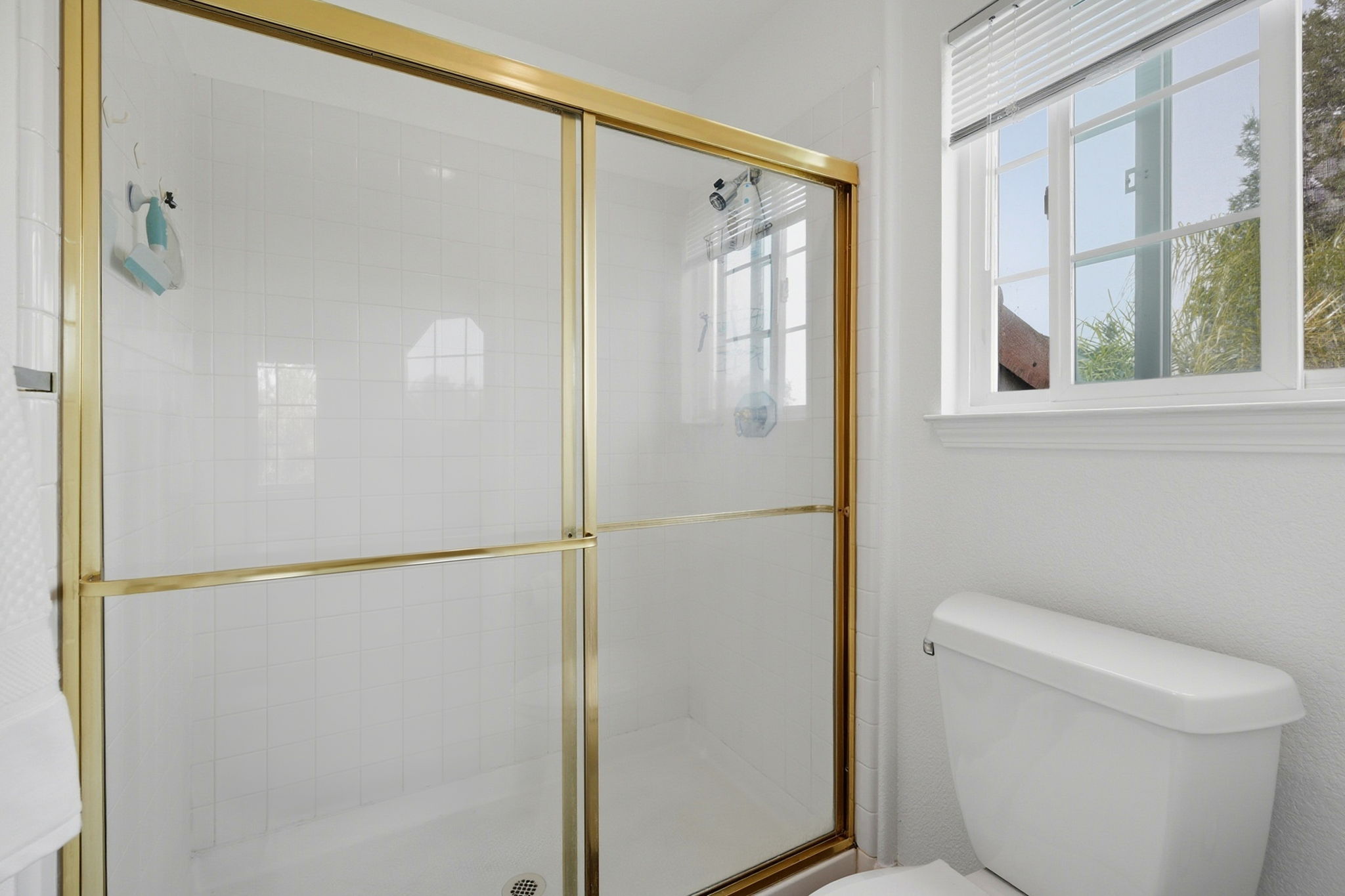 044_F8_4729 Matterhorn Ct