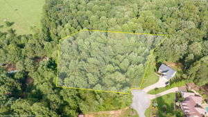 Image-6