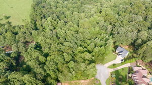 Image-7
