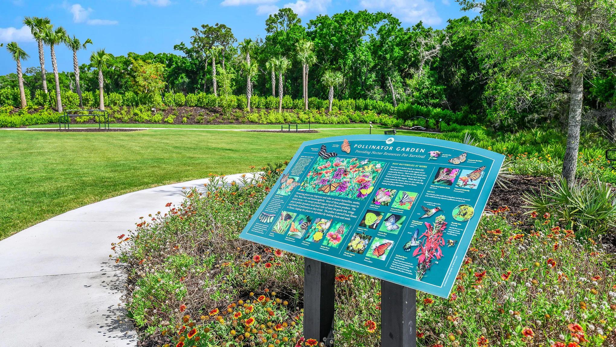  Photo 154